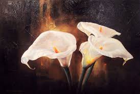 calla lily paintings