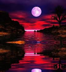 http://t2.gstatic.com/images?q=tbn:Ad9uCkQNK8UBHM:http://img1.blogcu.com/images/r/u/y/ruyam1/f_5e5f4933d3.gif
