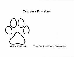 paw prints stencil