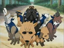 Invocacion a  Perros Ninjas Naruto1323m38s9perrosdekakashi