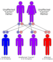 cystic-fibrosis-carrier