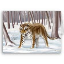 siberian tiger extinct