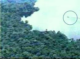 mokele