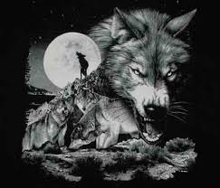 wolf pack