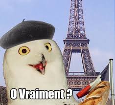 http://t2.gstatic.com/images?q=tbn:BhraskeyVVjPQM:wiki.nobleme.com/images/0/04/O_vraiment.jpg