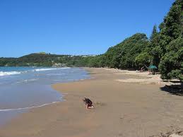 Coopers Beach