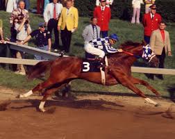 Secretariat the Horse wins