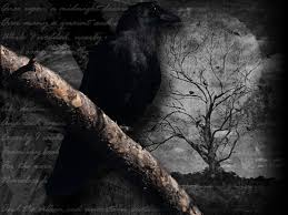 raven-bird-night-moon.jpg&t=1