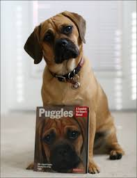 pugle