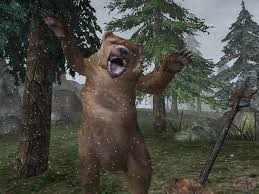 large bear pictures