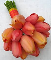 orange tulip bouquet