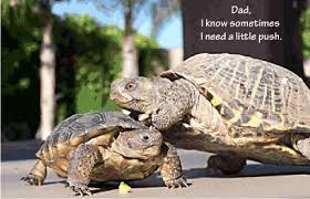 Fathers Day Ecard - Dad,