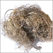 hemp fibre, hemp fiber, hemp wood, chopped hemp, bast fiber, bast fibre, short fiber hemp, short fibre hemp, long fiber hemp, long fibre hemp, ultra clean grade fiber, ultra clean grade fibre, composite grade fiber, composite grade fibre, general purpose grade fiber, general purpose grade fibre, core fiber, core fibre, 