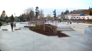 skate parks