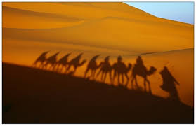 Sahara