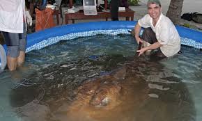 freshwater fish species pictures