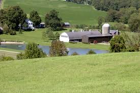 Farm, Pine Plains, NY