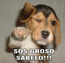 Mi inicio bi, lo mejor de los dos mundos...