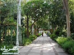 http://t2.gstatic.com/images?q=tbn:Enp6UDkpQ9ET0M:http://gallery.egyroom.com/aswan/aswan57.jpg