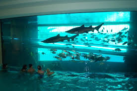 Watch Shark Tank season 1