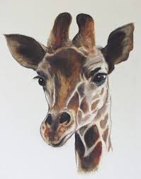 giraffe art