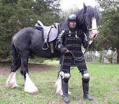 shire horse