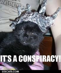 tin-foil-hat.jpg&t=1