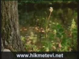 hasan dursun – DERMAN ISTERIM