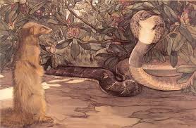rikki tikki tavi mongoose