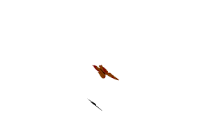 butterfly gif image