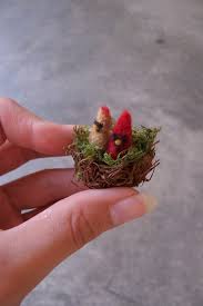 cute birds