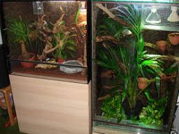 vivarium
