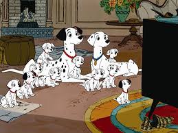 dalmatians