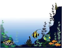 tropical fish clipart