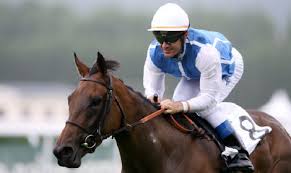 Donnellys Hollow. Hero Member