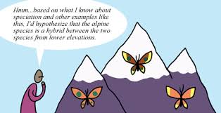example of hypothesis