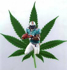ricky williams