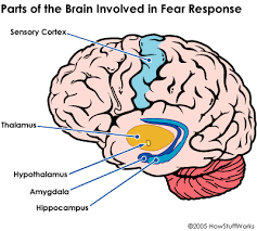 fear