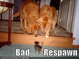 funny cats and dogs