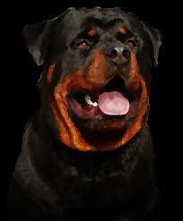 Barking