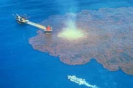 gallons of oil had spilled