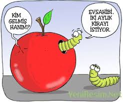 Karikatür