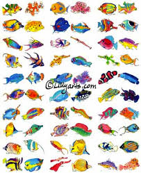 tropical fish clipart
