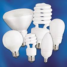 Lightbulbs-Earth Hour