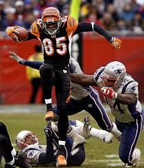 Cincinnati Bengals Cincinnati