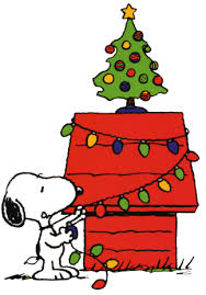 christmas pics