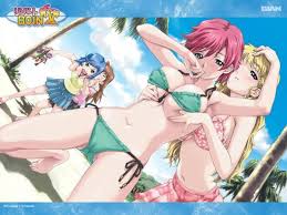 resort boin