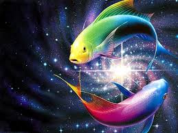 colorful fish