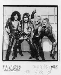  musical group 