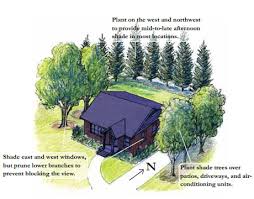 pictures shade trees